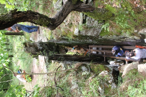Construction of a cave gate on the entrance to an Ozark big-eared bat hibernacula.