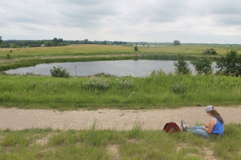 an adult sitting next to a gravel trail overlooking a wetland in summer