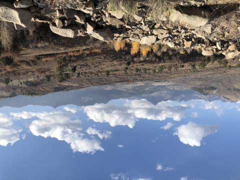 Photo of landscape near Ridgway, Colorado