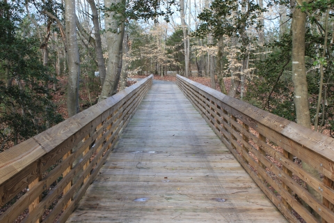 wooden bridge 
