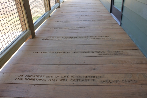 boardwalk deck with quotes on wood