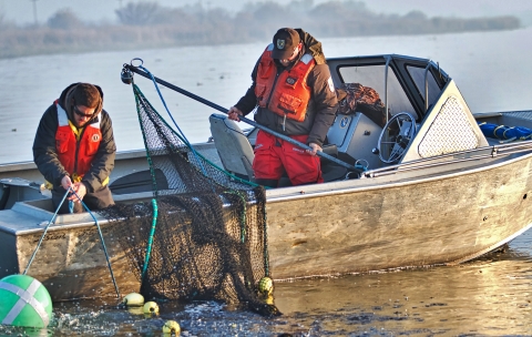 Two men in a motorized boat pull a net out of a river