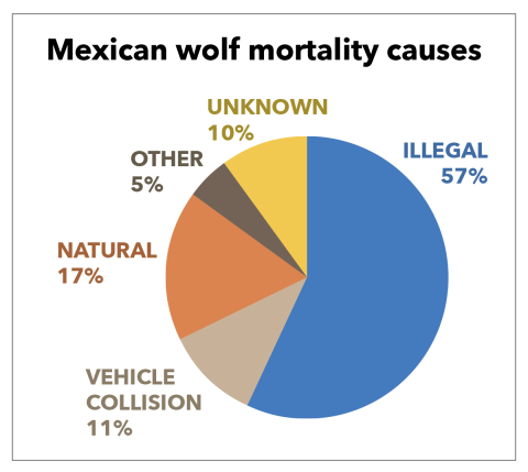 A pie chart showing Mexican wolf mortality causes. Illegal: 57%, vehicle collision: 11%, natural: 17%, other: 5%, unknown:10%