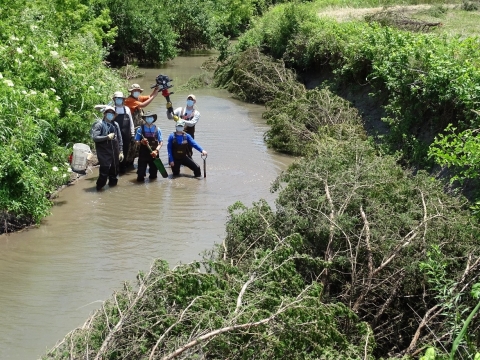 A group of people standing in a creek next with cut trees along the bank