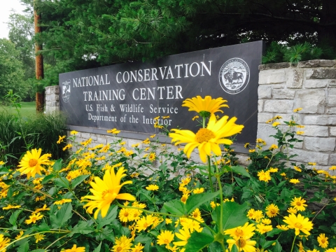 stone wall engraved with National Conservation Training Center, USFWS with multiple yellow flowers