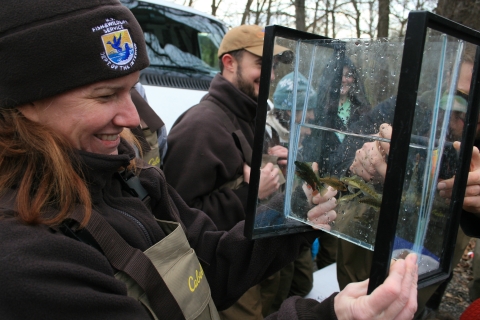 woman looking thru glass at fish