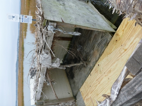 Waterfowl hunting blind