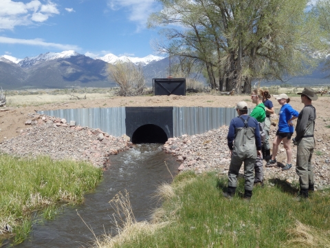 A group of people in waders looking at a culvert structure on a small stream