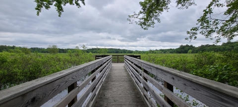 Photo of observation deck off of Weir Hill Trail