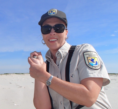 A woman in a USFWS uniform holding a piper plover