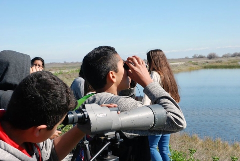 Six young people stand beside a refuge wetland pond. Two are looking out over the pond through binoculars and another is using a spotting scope. 