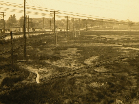 An old image shows a marsh area that's been dried out by ditching. 