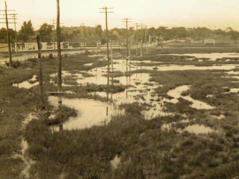 An old image shows a marsh area with much water visible. 