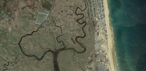 Aerial of salt marshes shows linear ditch remnants from agriculture and mosquito control. These remnants radiate out from the curving lines of natural water flows. 