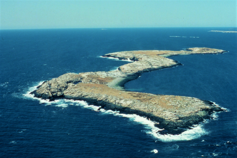 Seal Island National Wildlife Refuge