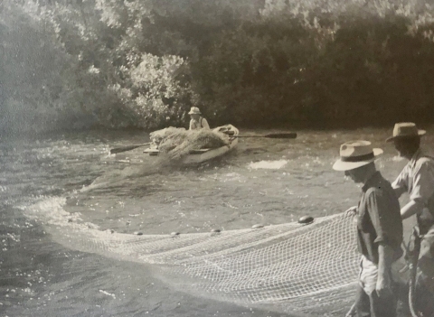 Historical photo of men using a large net to seine fish out of a creek. Two men are in the foreground holding the end of a net, while a man in a boat is rowing a boat in the stream and spreading the net across the stream. 