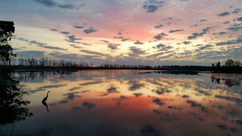 A rising sun is reflected in the marsh on a spring morning at Prime Hook National Wildlife Refuge in Delaware.