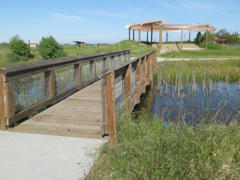 Blue Heron Trails amphitheater at Stone Lakes National Wildlife Refuge