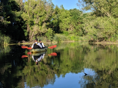 Paddle tour at Stone Lakes National Wildlife Refuge