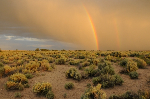 Two rainbows tint a sand-blow sky in a dry environment covered in sparse shrubs