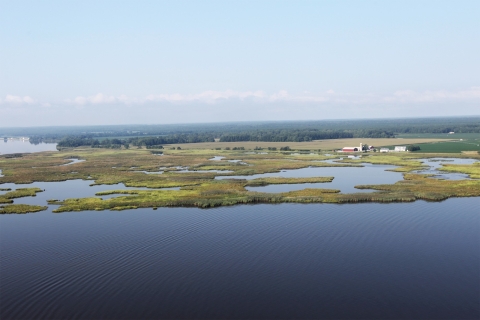An aerial view of green wetlands and a farm property in the distance with a large body of water in the foreground.