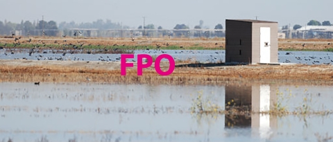 Placeholder image of wetlands. There are birds taking off and a square building with a door near the middle of the frame. 