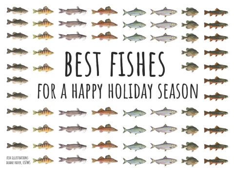 A collage of eight different kinds of freshwater fish illustrations are lined up in a neat grid against a white background that fills the entire card. Lines of identical fish run down the card from top to bottom. The fish surround a large block of text in the center that reads, “Best Fishes for a happy holiday season.” 