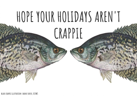An illustration of two fish called crapiies are in front of a white background. The fish seem to look into each other’s eyes. Text over the fish says “Hope your holidays aren’t crappie.”