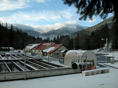 A fish hatchery with snowy mountains in the background.