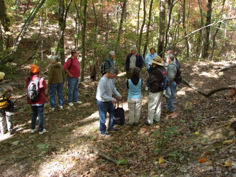 A group of people on a hike in the woods.