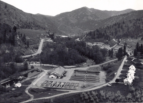A black and white photo of Entiat National Fish Hatchery from a nearby hillside, showing a view of dry mountains with scattered pine trees in the background, a new orchard planted in the foreground, and the hatchery building flanked on two sides by long oval ponds, with a line of 4 white hatchery houses overlooking them.