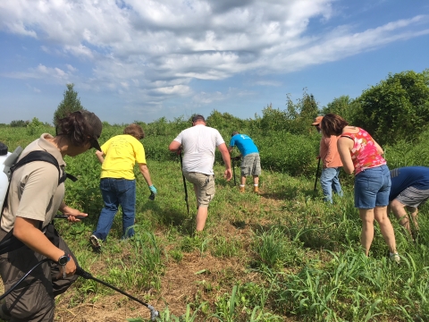 Volunteers Planting Milkweed