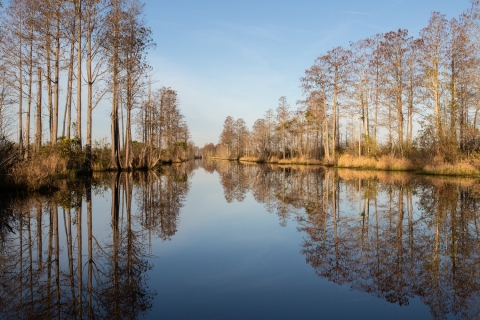 A canal’s smooth surface reflects the trees at Okefenokee Refuge.