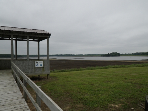 An observation deck with a wetland in the background.