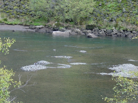 Little White Salmon River