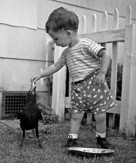 a black and white photo of a boy feeding a bird
