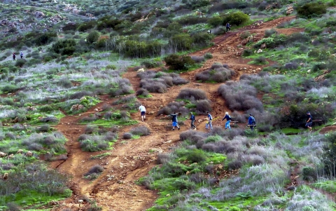 people walking on the side of a hill