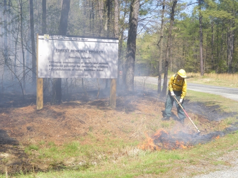 prescribed burns in front of Forest Renewal Project Sign