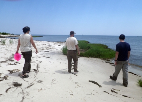 Staff walking along shore