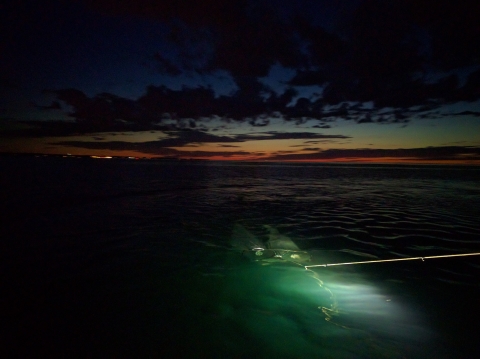 Night Ichthyoplankton sampling with bongo nets on Lake Ontario.