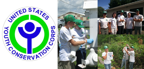 Compilation image of Youth Conservation Corps kids working on refuge