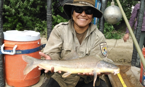Fish biologist Angela James holds a large razorback sucker.