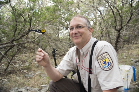 a biologist holds an object made to look like a real bird