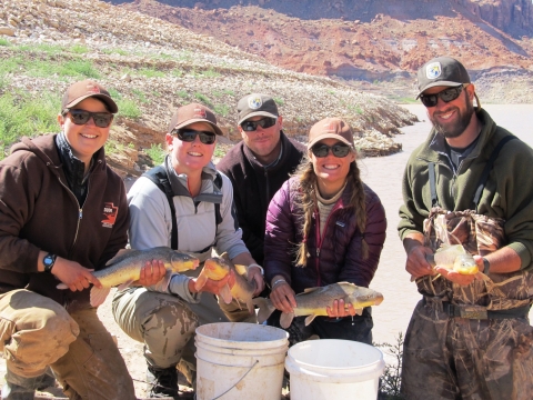 Five biologists hold razorback suckers against a hilly background.