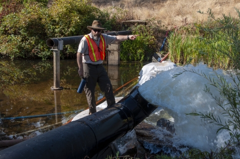 A man points in the direction of a large pipe with water flowing out into a creek
