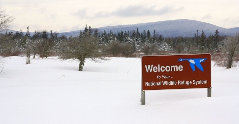 A brown sign in a snow field. On the sign are the words "Welcome to Your National Wildlife Refuge System" and a Blue Goose symbol 