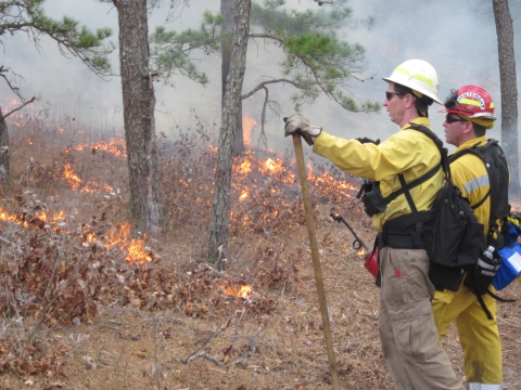 Two firefighters supervising a prescribed burn fire