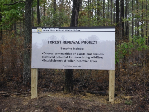 Forest Renewal Project Sign