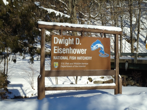 A sign that reads "Dwight D. Eisenhower National Fish Hatchery, U.S. Fish and wildlife service department of the interior". The sign and surroundings are covered in snow