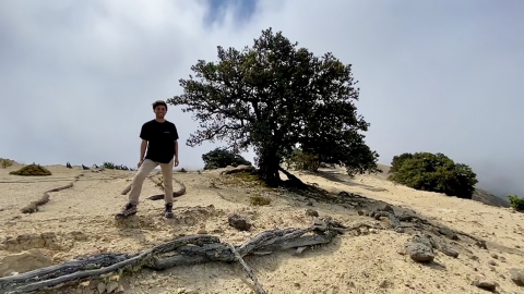 A man standing on a hill near a tree
